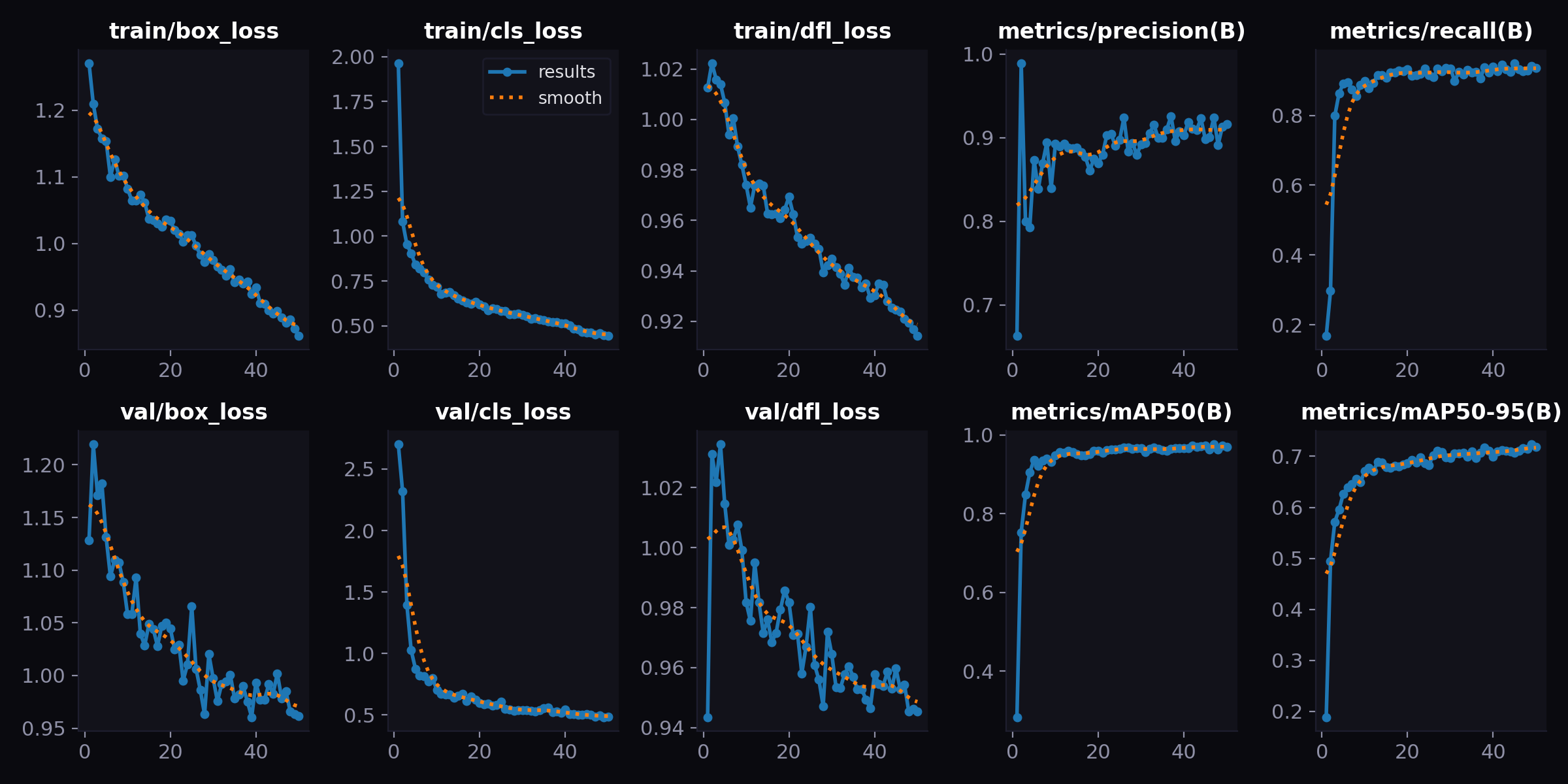 YOLO11 Training Results Curves